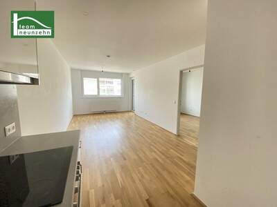 Terrassenwohnung mieten in 1030 Wien (Bild 1)
