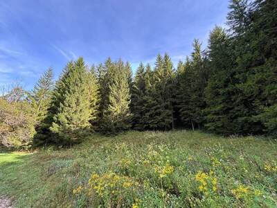 Gewerbeobjekt kaufen in 4591 Breitenau