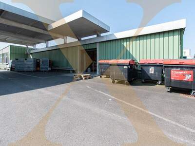 Halle / Lager / Produktion mieten in 4061 Pasching