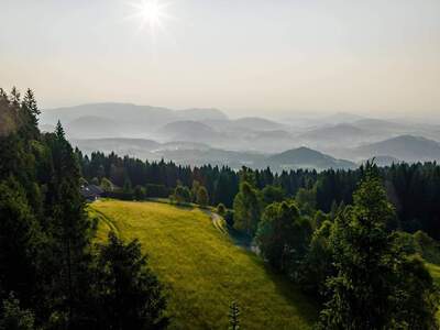 Grundstück provisionsfrei kaufen in 9552 Steindorf