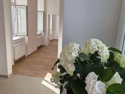 Wohnung kaufen in 1020 Wien (Bild 1)