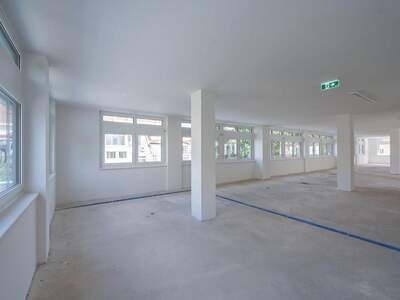 Gewerbeobjekt mieten in 1130 Wien (Bild 4)