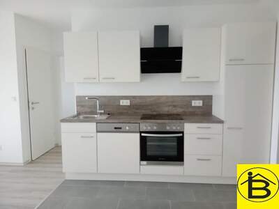 Terrassenwohnung mieten in 3382 Loosdorf (Bild 1)