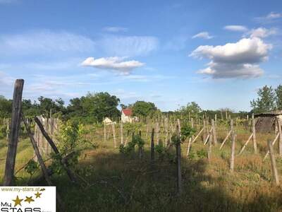 Haus kaufen in 7570 Barcs (Bild 1)