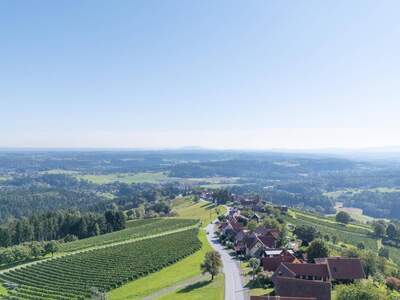 Haus kaufen in 8511 Sankt Stefan