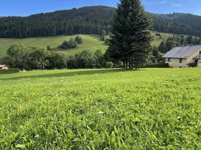 Grundstück kaufen in 8765 Sankt Johann