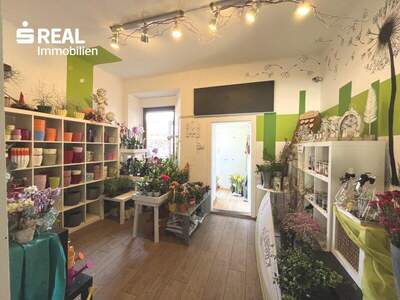 Lager kaufen in 3193 St. Aegyd (Bild 3)