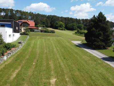 Grundstück kaufen in 2753 Dreistetten