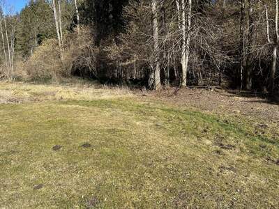 Haus kaufen in 9361 St. Salvator (Bild 4)