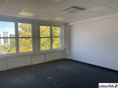 Gewerbeobjekt mieten in 2320 Schwechat (Bild 3)