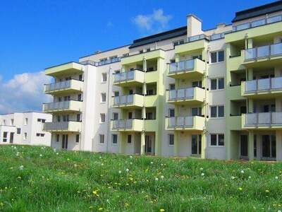 Terrassenwohnung mieten in 2351 Wr. Neudorf
