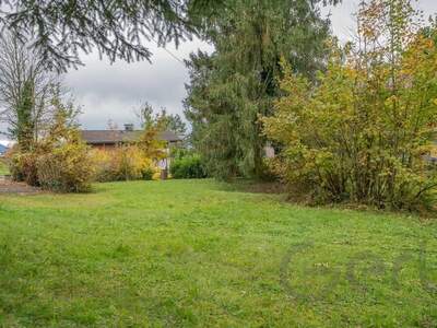 Grundstück kaufen in 5161 Elixhausen