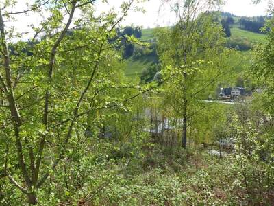 Grundstück provisionsfrei mieten in 4242 Hirschbach