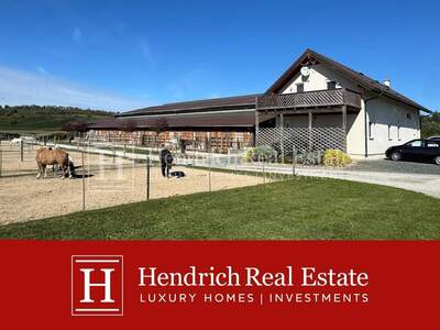 Gewerbeobjekt kaufen in 7311 Neckenmarkt