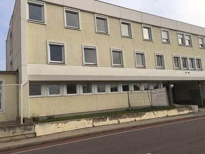 Altbauwohnung mieten in 2700 Wiener Neustadt (Bild 2)