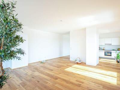 Mietwohnung in 2320 Schwechat (Bild 1)