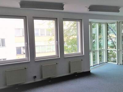 Gewerbeobjekt mieten in 1110 Wien (Bild 5)