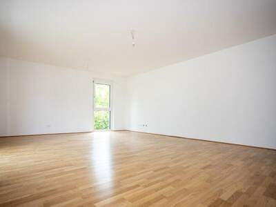 Terrassenwohnung kaufen in 2700 Wr. Neustadt (Bild 4)