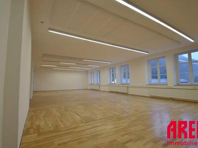 Gewerbeobjekt mieten in 4040 Linz (Bild 4)