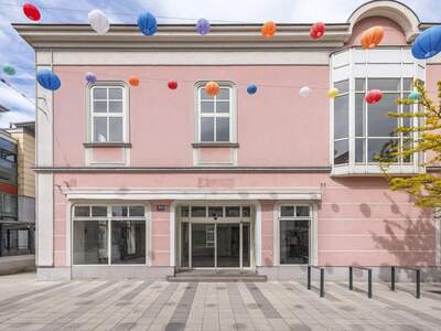 Gewerbeobjekt mieten in 2700 Wiener Neustadt (Bild 2)