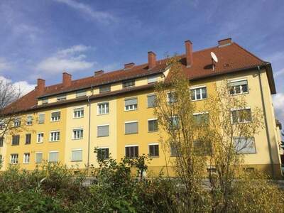 Wohnung mieten in 8160 Weiz