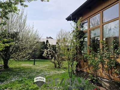 Einfamilienhaus kaufen in 2325 Himberg (Bild 3)