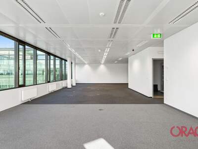 Gewerbeobjekt mieten in 1110 Wien (Bild 3)