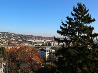 Mehrfamilienhaus kaufen in 1130 Wien (Bild 2)
