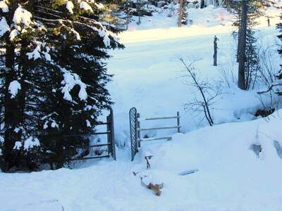 Haus kaufen in 8864 Turrach (Bild 5)