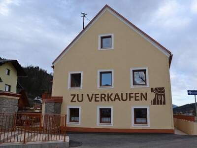Gewerbeobjekt kaufen in 8600 Kapfenberg