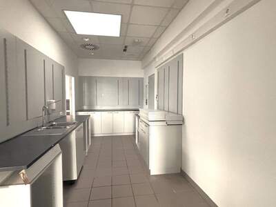 Gewerbeobjekt mieten in 4311 Schwertberg (Bild 4)