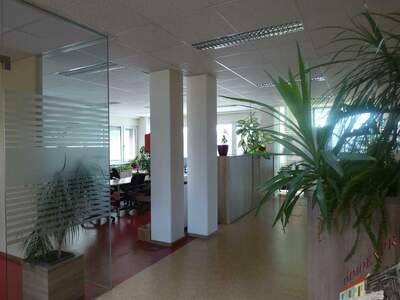 Gewerbeobjekt kaufen in 2700 Wiener Neustadt (Bild 2)