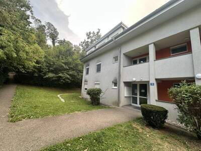 Terrassenwohnung kaufen in 4470 Enns (Bild 5)