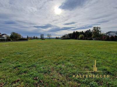 Grundstück kaufen in 2722 Weikersdorf