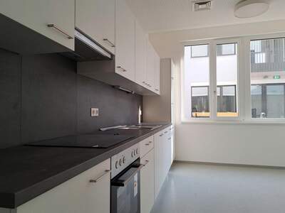 Gewerbeobjekt mieten in 1210 Wien (Bild 5)