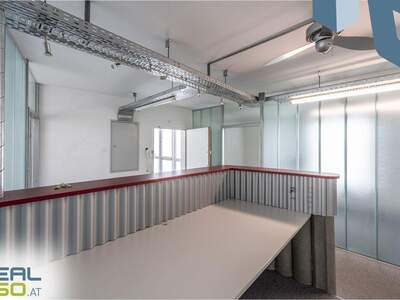 Gewerbeobjekt mieten in 4030 Linz (Bild 4)