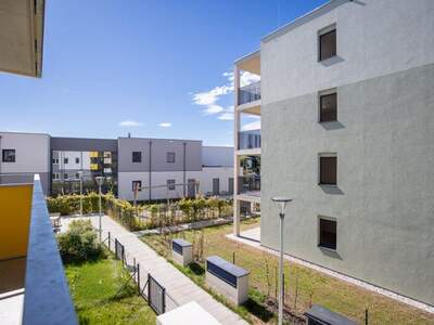 Terrassenwohnung mieten in 2700 Wr. Neustadt (Bild 5)