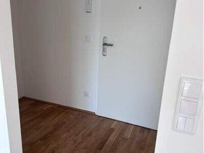 Terrassenwohnung mieten in 1210 Wien (Bild 3)