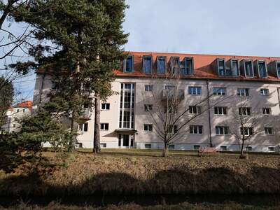 Apartment provisionsfrei mieten in 5020 Salzburg