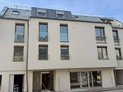 Anlageobjekt kaufen in 1230 Wien