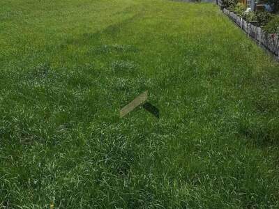 Grundstück kaufen in 4890 Frankenmarkt