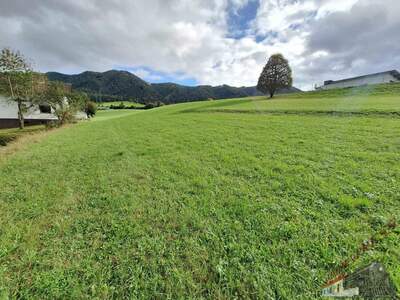 Grundstück kaufen in 8662 Mitterdorf (Bild 2)