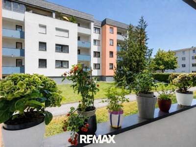 Wohnung kaufen in 4560 Kirchdorf