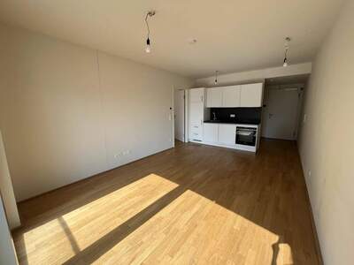 Wohnung mieten in 1100 Wien