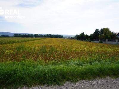 Grundstück kaufen in 3430 Frauenhofen (Bild 4)