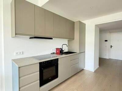Terrassenwohnung mieten in 1220 Wien (Bild 2)