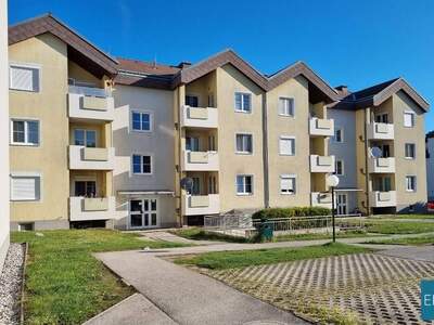 Wohnung mieten in 2490 Ebenfurth