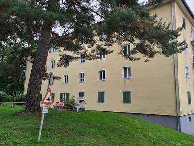 Apartment provisionsfrei mieten in 8043 Steiermark