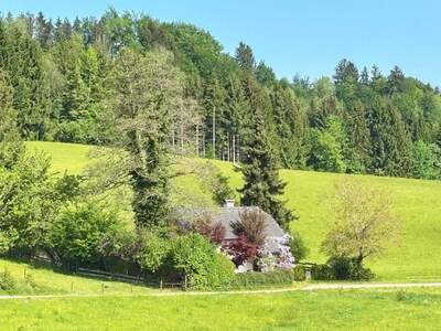 Grundstück kaufen in 4894 Oberhofen