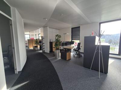 Gewerbeobjekt mieten in 5101 Bergheim (Bild 3)